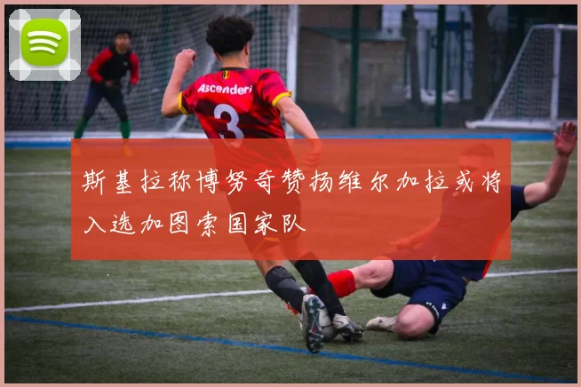 斯基拉称博努奇赞扬维尔加拉或将入选加图索国家队