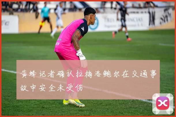 黄蜂记者确认拉梅洛鲍尔在交通事故中安全未受伤