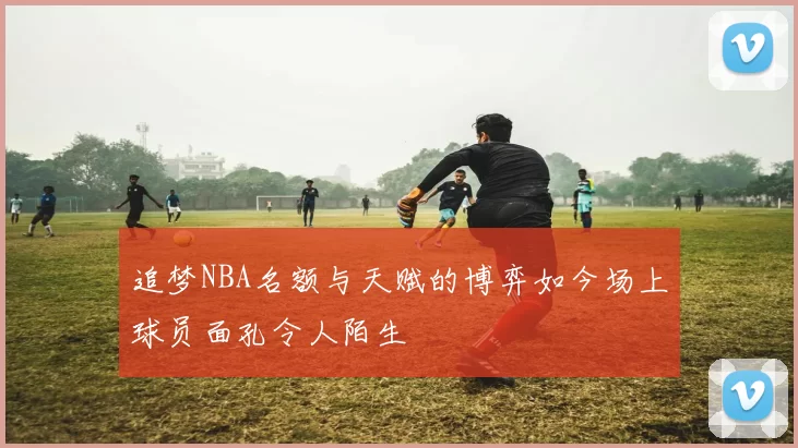追梦NBA名额与天赋的博弈如今场上球员面孔令人陌生
